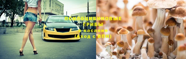 ECSTASY Белоозёрский