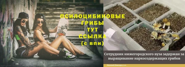 MESCALINE Белокуриха