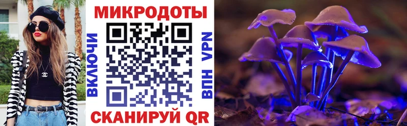 Псилоцибиновые грибы MAGIC MUSHROOMS закладки Короча